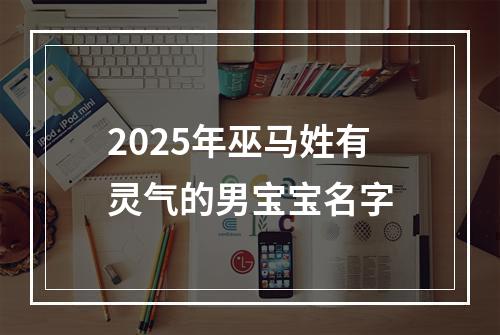 2025年巫马姓有灵气的男宝宝名字