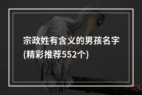 宗政姓有含义的男孩名字(精彩推荐552个)