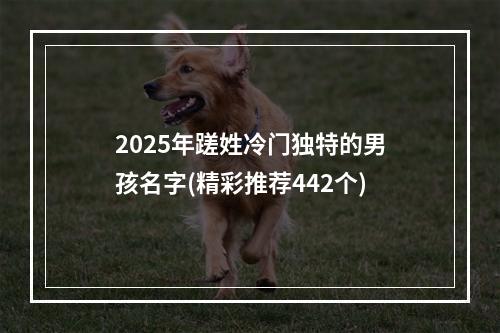 2025年蹉姓冷门独特的男孩名字(精彩推荐442个)