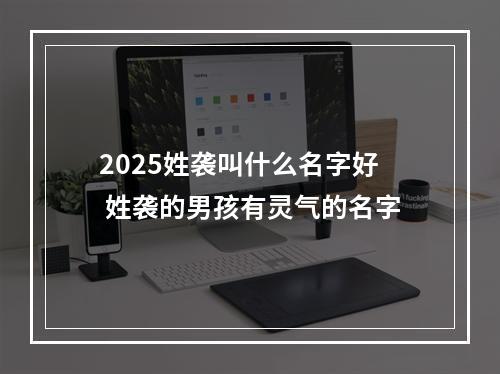 2025姓袭叫什么名字好 姓袭的男孩有灵气的名字