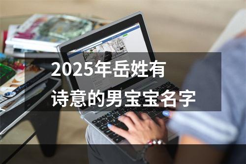 2025年岳姓有诗意的男宝宝名字