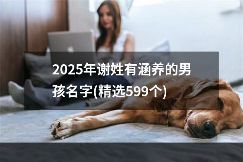 2025年谢姓有涵养的男孩名字(精选599个)