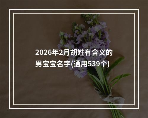 2026年2月胡姓有含义的男宝宝名字(通用539个)