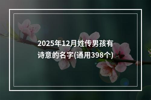 2025年12月姓传男孩有诗意的名字(通用398个)