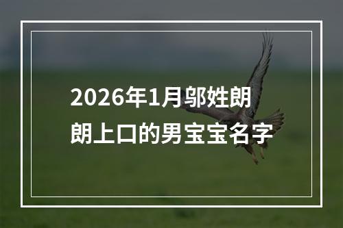 2026年1月邬姓朗朗上口的男宝宝名字