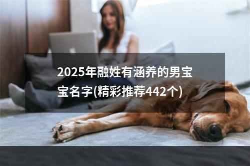 2025年融姓有涵养的男宝宝名字(精彩推荐442个)