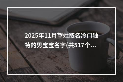 2025年11月望姓取名冷门独特的男宝宝名字(共517个)