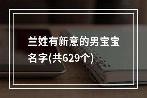 兰姓有新意的男宝宝名字(共629个)
