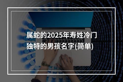 属蛇的2025年寿姓冷门独特的男孩名字(简单)
