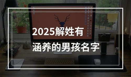 2025解姓有涵养的男孩名字