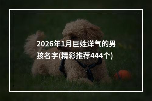 2026年1月巨姓洋气的男孩名字(精彩推荐444个)