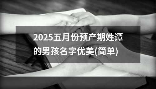 2025五月份预产期姓谭的男孩名字优美(简单)