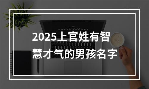 2025上官姓有智慧才气的男孩名字
