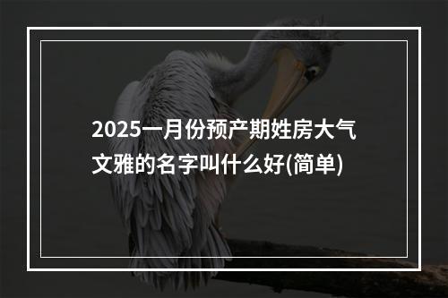 2025一月份预产期姓房大气文雅的名字叫什么好(简单)