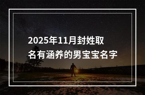 2025年11月封姓取名有涵养的男宝宝名字