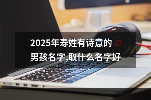 2025年寿姓有诗意的男孩名字,取什么名字好