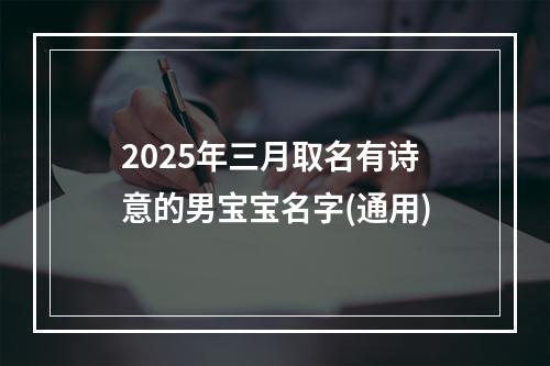 2025年三月取名有诗意的男宝宝名字(通用)