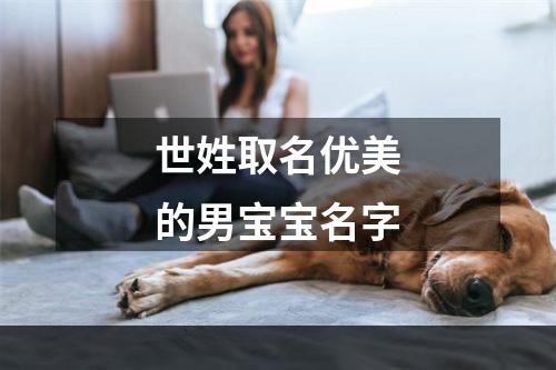 世姓取名优美的男宝宝名字