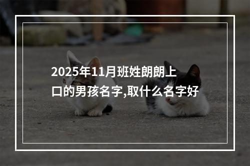 2025年11月班姓朗朗上口的男孩名字,取什么名字好