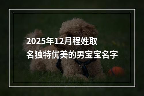 2025年12月程姓取名独特优美的男宝宝名字