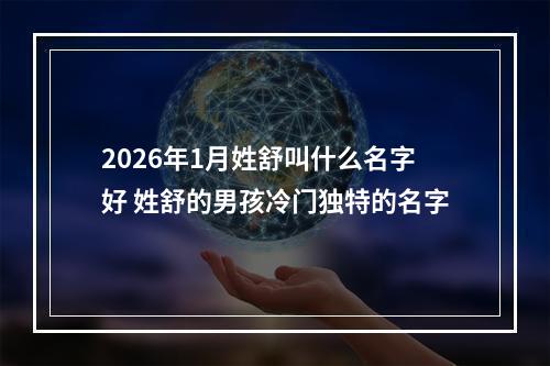 2026年1月姓舒叫什么名字好 姓舒的男孩冷门独特的名字
