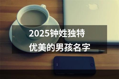 2025钟姓独特优美的男孩名字