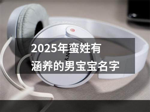 2025年蛮姓有涵养的男宝宝名字