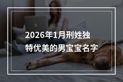 2026年1月刑姓独特优美的男宝宝名字