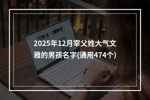 2025年12月宰父姓大气文雅的男孩名字(通用474个)