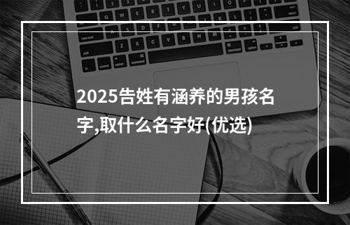 2025告姓有涵养的男孩名字,取什么名字好(优选)