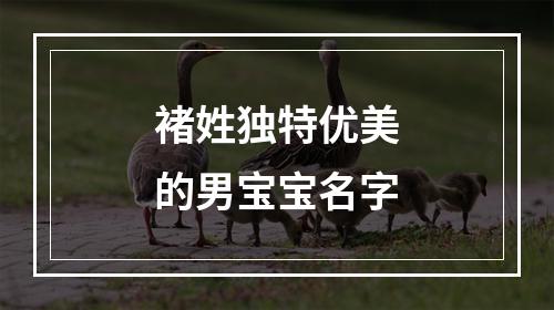 褚姓独特优美的男宝宝名字