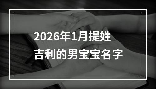 2026年1月提姓吉利的男宝宝名字