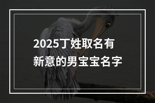 2025丁姓取名有新意的男宝宝名字