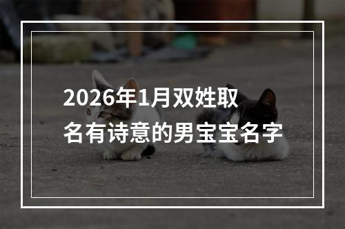 2026年1月双姓取名有诗意的男宝宝名字
