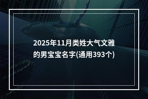 2025年11月类姓大气文雅的男宝宝名字(通用393个)