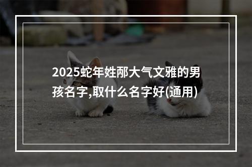 2025蛇年姓邴大气文雅的男孩名字,取什么名字好(通用)