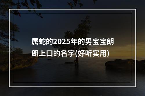 属蛇的2025年的男宝宝朗朗上口的名字(好听实用)