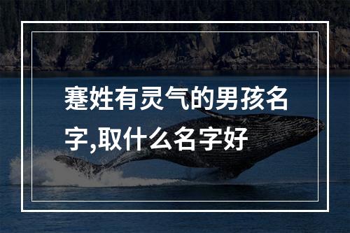 蹇姓有灵气的男孩名字,取什么名字好