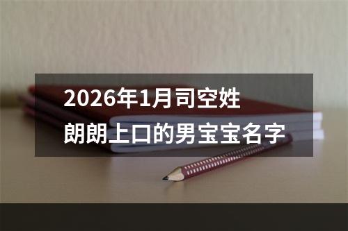 2026年1月司空姓朗朗上口的男宝宝名字