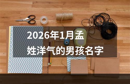 2026年1月孟姓洋气的男孩名字