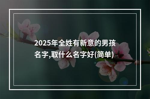 2025年全姓有新意的男孩名字,取什么名字好(简单)