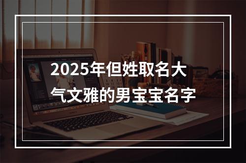 2025年但姓取名大气文雅的男宝宝名字