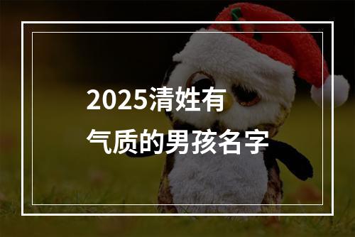 2025清姓有气质的男孩名字