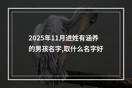 2025年11月进姓有涵养的男孩名字,取什么名字好
