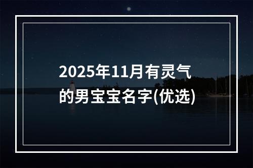 2025年11月有灵气的男宝宝名字(优选)