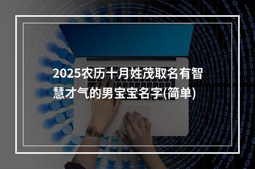 2025农历十月姓茂取名有智慧才气的男宝宝名字(简单)