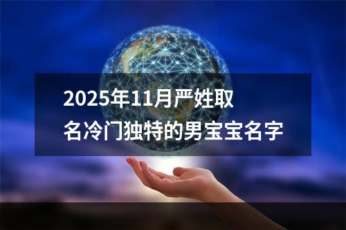 2025年11月严姓取名冷门独特的男宝宝名字