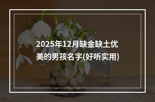 2025年12月缺金缺土优美的男孩名字(好听实用)