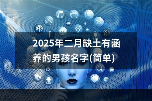 2025年二月缺土有涵养的男孩名字(简单)