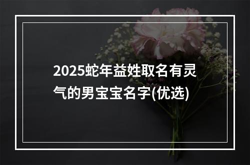 2025蛇年益姓取名有灵气的男宝宝名字(优选)